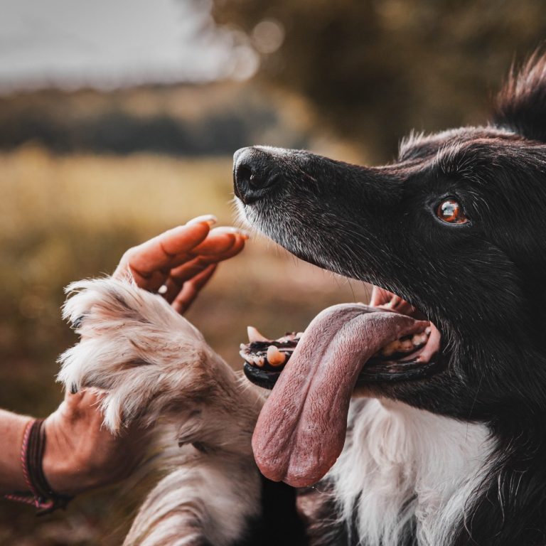 Neugeborenenshooting 
Saarland, Luxemburg, Perl und Umgebung